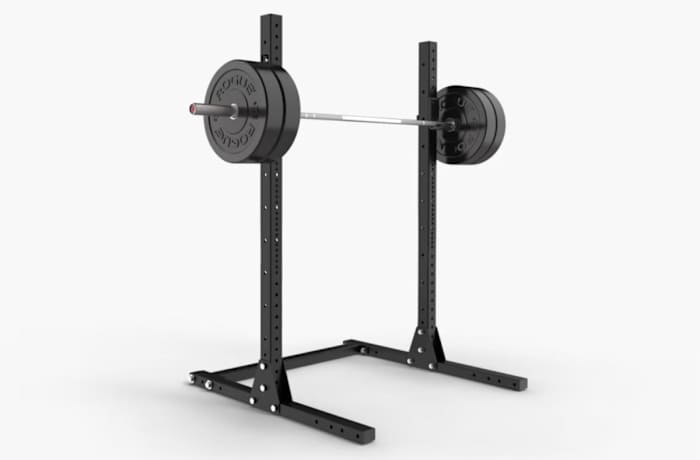 Rogue SML-1 70_ Monster Lite Squat Stand